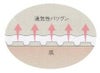 純綿薄型刺子居合道衣「和楽」