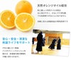バイオクリーンウォッシュ 剣道衣用洗剤