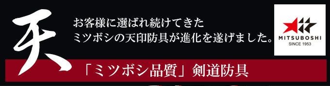 「天」ベーシック6mm織刺剣道防具 垂