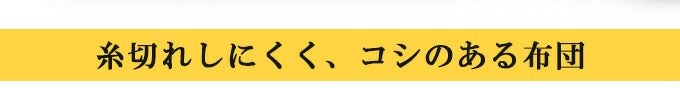 「天」ベーシック6mm織刺剣道防具 垂