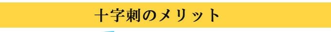 「天」エリート6㎜十字刺織刺剣道防具 垂