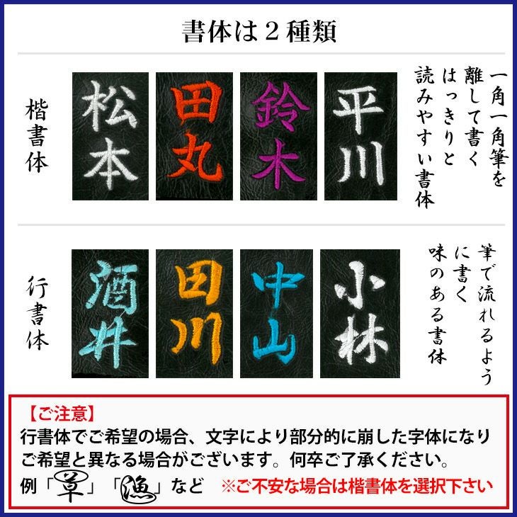 刺繍色背景白